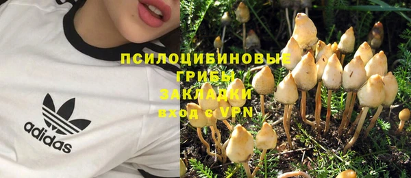 соль ск Зерноград