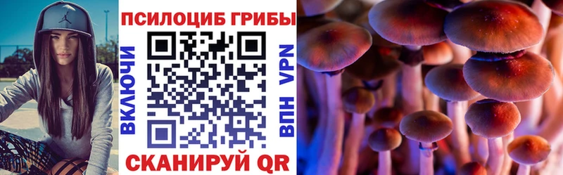 Псилоцибиновые грибы MAGIC MUSHROOMS  Купить закладки  Терек 