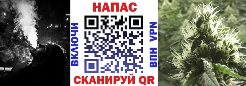 Бошки Шишки тримм  Купить  Терек 